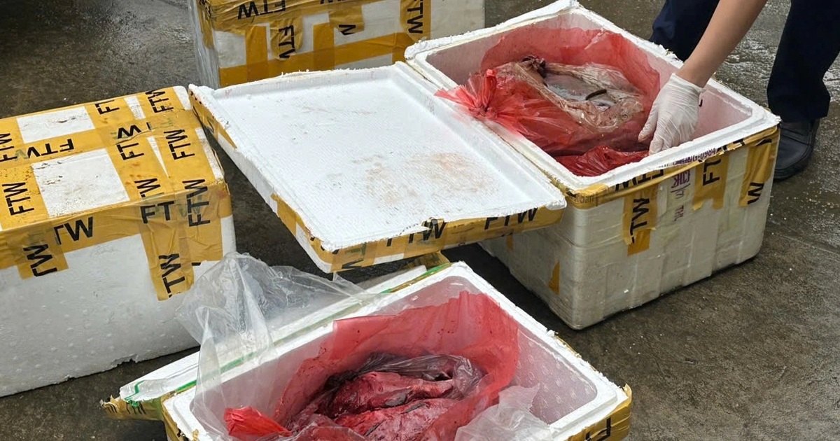 Chở hơn 1 tạ nội tạng trâu, bò bốc mùi đi bán cho các quán ăn