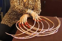 Bán bộ móng tay dài nhất thế giới với giá 1 tỷ đồng