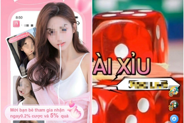 Nhóm người Trung Quốc cầm đầu đường dây đánh bạc 100 tỷ đồng