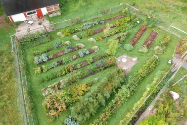 Người phụ nữ làm vườn rau trái sạch, chinh phục nhiều giống ớt và cà chua