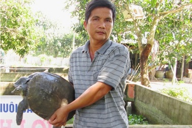 Thu tiền tỷ từ việc nuôi ba ba, cua đinh thương phẩm