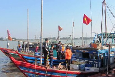 Xử lý hàng loạt tàu cá vi phạm đánh bắt và bảo vệ nguồn lợi thủy sản