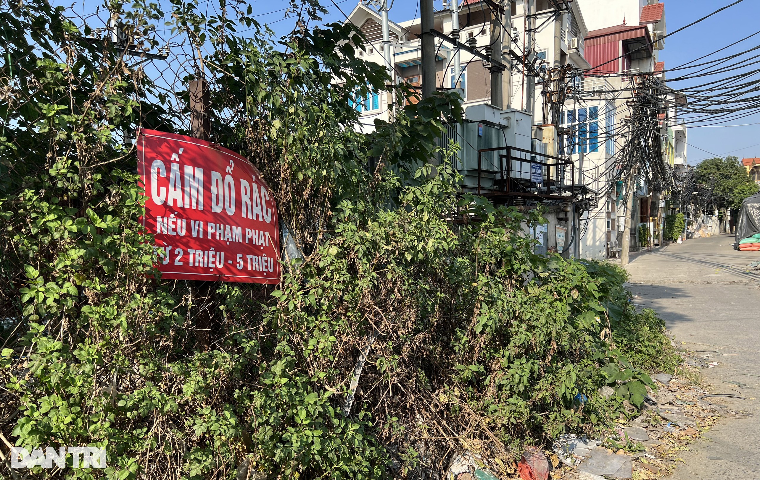 Ngôi làng tái chế lớn nhất Việt Nam, tỷ phú nhập rác quốc tế về làm giàu - 1 Ngôi làng tái chế lớn nhất Việt Nam, tỷ phú nhập rác quốc tế về làm giàu - 1