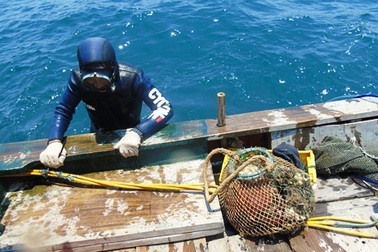 Theo chân thợ lặn tìm kiếm hải sản chết dưới đáy biển