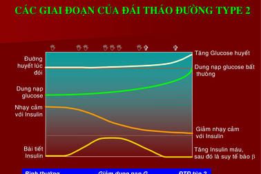 Đái tháo đường: Chẩn trị sớm ngay lúc khởi đầu!