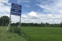 Ông Trần Quí Thanh bị cáo buộc chiếm đoạt những dự án, tài sản nào?