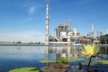 Dung Quất trong lành