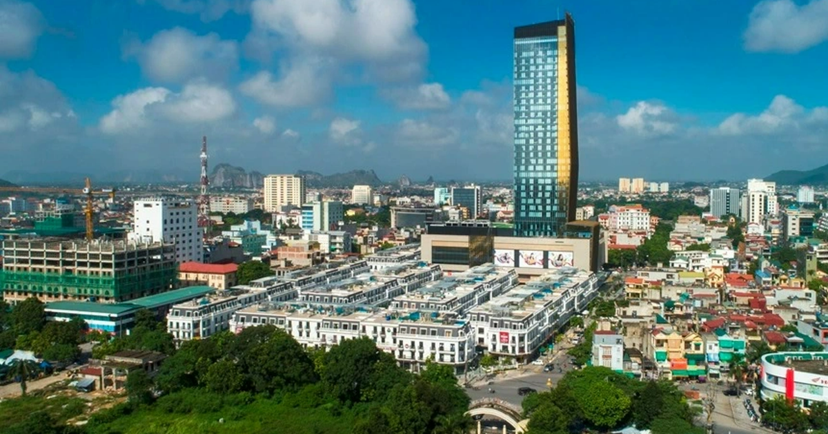 dantri.com.vn