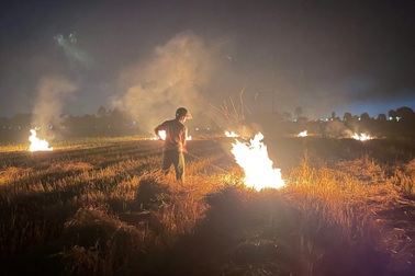 Nhiều nông dân ở Huế bị xử phạt vì đốt rơm và nỗi lo mùa vụ mới