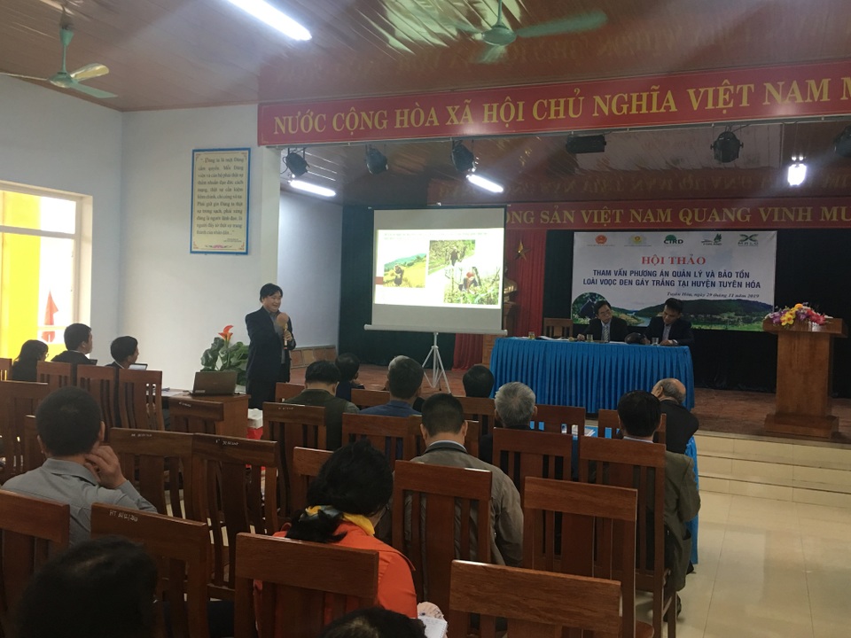 Bảo vệ loài voọc đen gáy trắng quý hiếm trên 6 khối núi đá vôi ở Quảng Bình - 1 Bảo vệ loài voọc đen gáy trắng quý hiếm trên 6 khối núi đá vôi ở Quảng Bình - 1