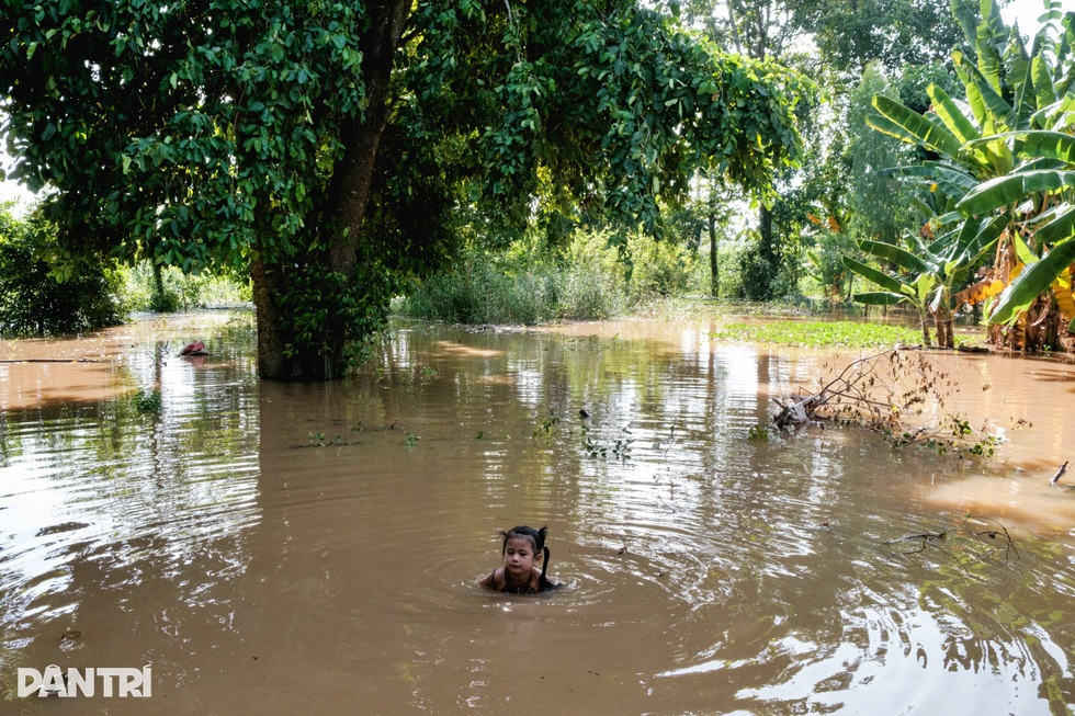 Hành trình thay áo trên đất phù sa sau hơn 2 thập kỷ đói... lũ - 10 Hành trình thay áo trên đất phù sa sau hơn 2 thập kỷ đói... lũ - 10