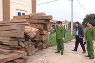 Khởi tố vụ án phá rừng quy mô lớn xảy ra tại Quảng Bình