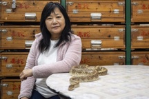 "Nữ hoàng rắn" với món súp trứ danh, lưu giữ hàng thập kỷ