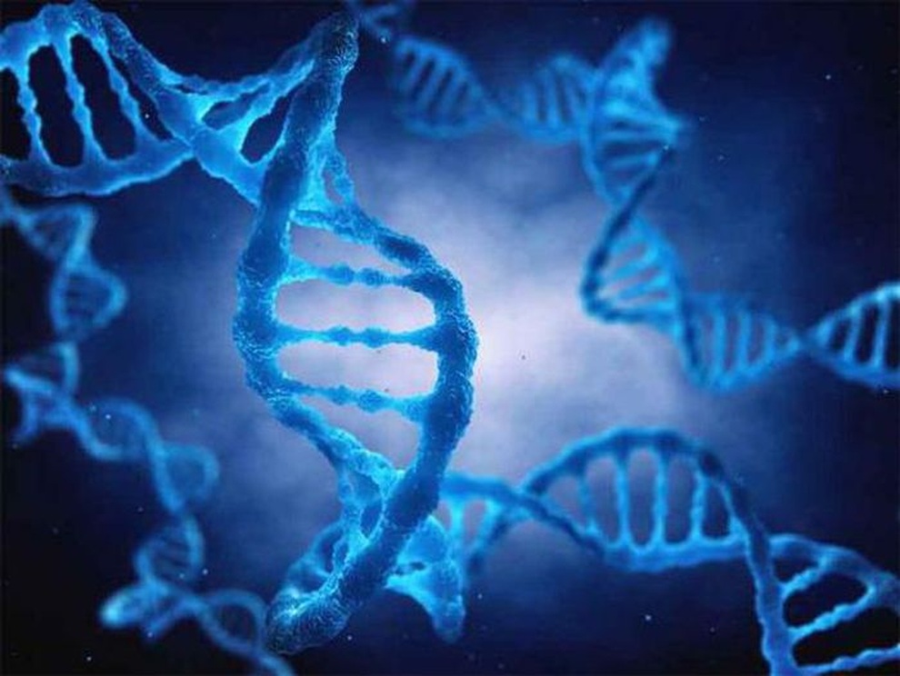 Đại dịch virus bí ẩn từng tấn công châu Á từ 25.000 năm trước - 1 Đại dịch virus bí ẩn từng tấn công châu Á từ 25.000 năm trước - 1