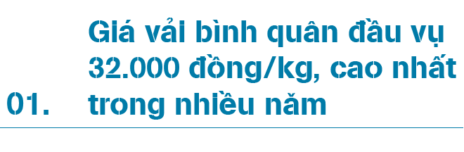 Nói giải cứu vải thiều Bắc Giang là làm tổn thương người trồng - 1 Nói giải cứu vải thiều Bắc Giang là làm tổn thương người trồng - 1