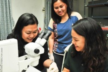 Mỹ tài trợ 3 dự án nghiên cứu khoa học của Việt Nam