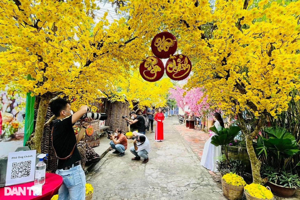 Chàng trai hô biến con hẻm cũ thành phố xuân đẹp vạn người mê - 1 Chàng trai hô biến con hẻm cũ thành phố xuân đẹp vạn người mê - 1