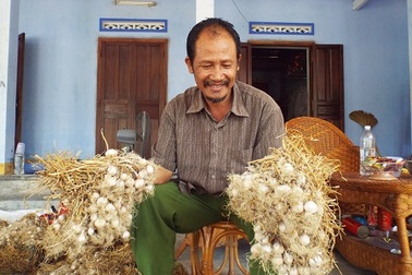 Có một “vương quốc tỏi” Lý Sơn trong đất liền!