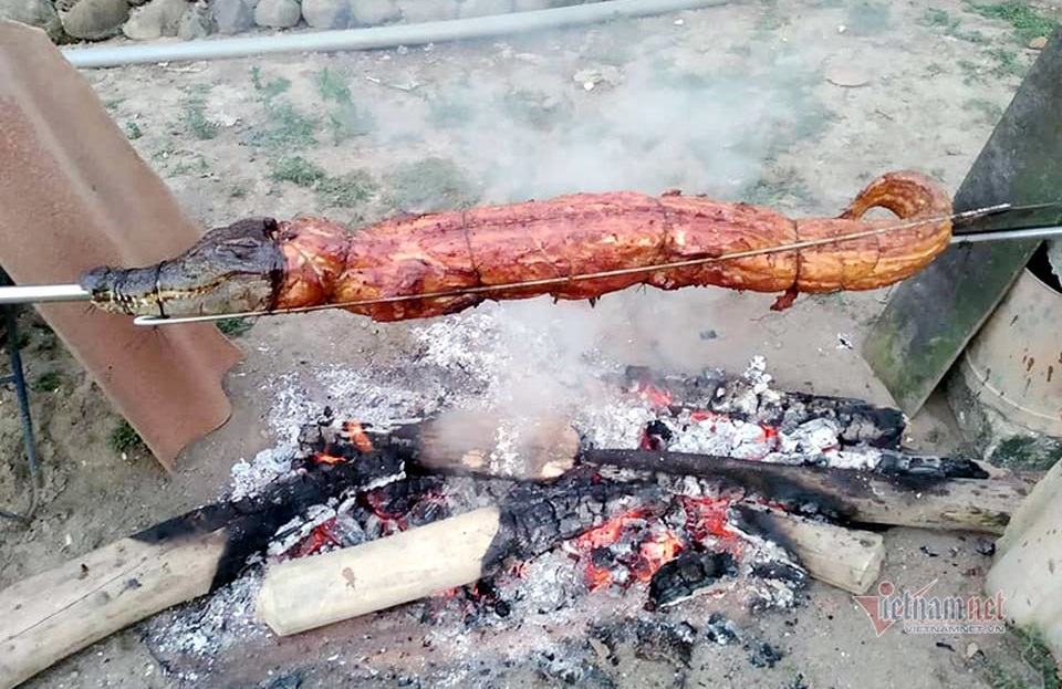 Cá sấu nguyên con rẻ như rau, nướng ăn liền ngày bán 2 tạ - 8 Cá sấu nguyên con rẻ như rau, nướng ăn liền ngày bán 2 tạ - 8