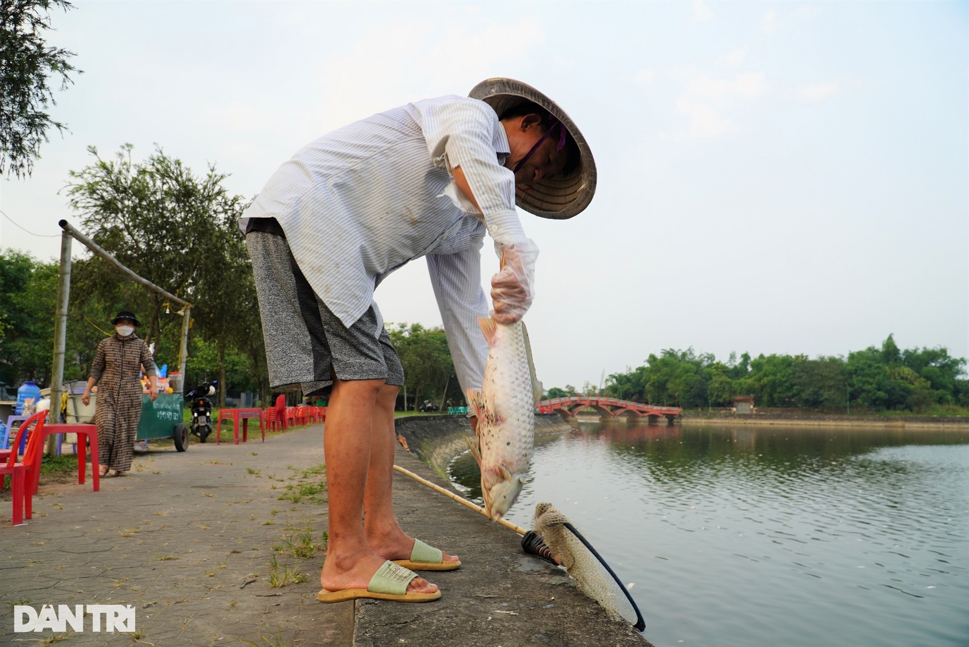 Cá chết hàng loạt nổi trắng ở hồ điều hòa lớn nhất thành phố Hà Tĩnh - 8 Cá chết hàng loạt nổi trắng ở hồ điều hòa lớn nhất thành phố Hà Tĩnh - 8