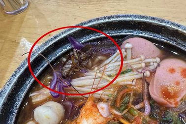Hà Nội: Khách hoảng sợ phát hiện con gián "phơi bụng" trong bát mỳ
