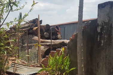 Vụ trùm gỗ lậu Phượng “râu”: Hoạt động tội phạm tinh vi