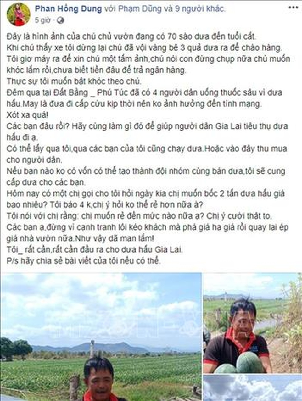 Điều tra, xử lý người tung tin 4 người Gia Lai tự tử vì dưa hấu rẻ - 2 Điều tra, xử lý người tung tin 4 người Gia Lai tự tử vì dưa hấu rẻ - 2