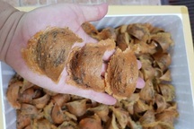 Lương 4 triệu đồng, cô kế toán tạo dựng nghề tay trái thu nhập gấp 2-3 lương chính