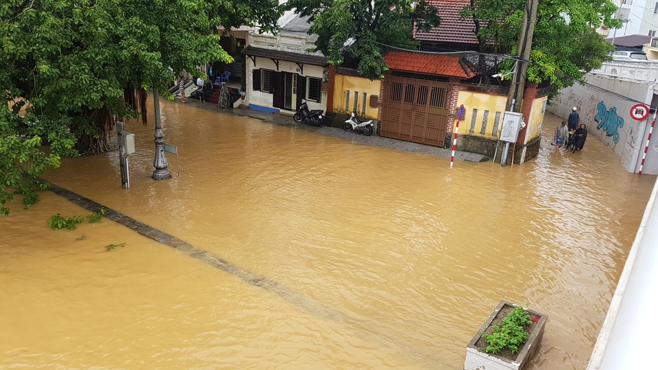 Người dân trú trên gác mái, cho lợn lên giường tránh lũ - 1 Người dân trú trên gác mái, cho lợn lên giường tránh lũ - 1