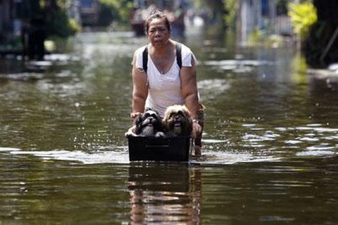 Lũ lụt ảnh hưởng gần 10.000 nhà máy, nhiều nước khuyến cáo du lịch