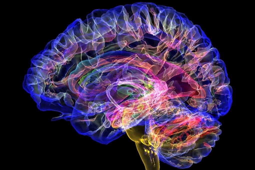 4 lần não bộ tự khởi động lại trong đời: Bạn đang ở giai đoạn nào? - 1 4 lần não bộ tự khởi động lại trong đời: Bạn đang ở giai đoạn nào? - 1