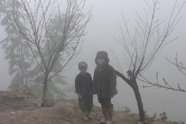 Trẻ em Sa Pa bán đào rừng trong giá rét