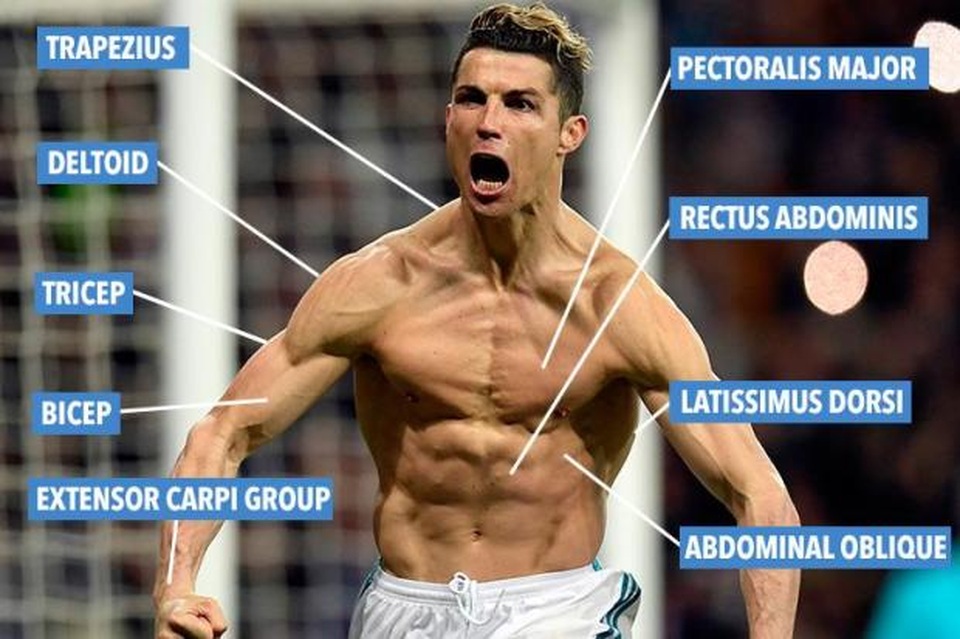 Bí quyết nào giúp C.Ronaldo bật cao tới kinh ngạc? - 2 Bí quyết nào giúp C.Ronaldo bật cao tới kinh ngạc? - 2