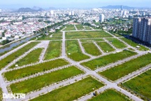 Mặt bằng nghìn tỷ đồng giữa lòng thành phố Thanh Hóa thành nơi thả bò