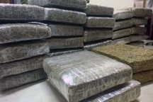 Phá chuyên án ma tuý từ Lào về Nghệ An, thu giữ 32 bánh cần sa