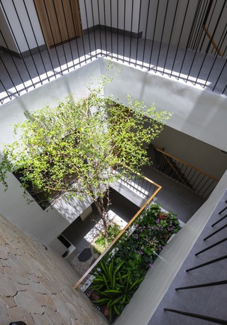 Nhà 90m2 của gia đình ở Hà Nội gắn kết thiên nhiên nhờ thiết kế lạ - 8