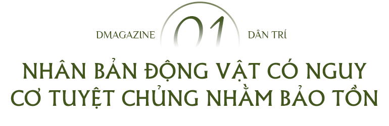 Phép màu cứu rỗi sinh vật bên bờ tuyệt chủng và tranh cãi của khoa học - 3 Phép màu cứu rỗi sinh vật bên bờ tuyệt chủng và tranh cãi của khoa học - 3