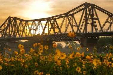 Từ chuyện vườn hoa "mới phát hiện" dưới chân cầu Long Biên