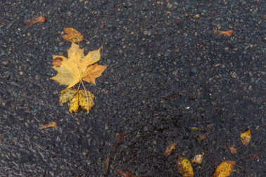 Cuộc sống vô thường, ai biết trước ngày mai