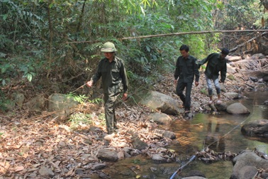 Nỗ lực giữ mùa xanh trên vùng biên giới