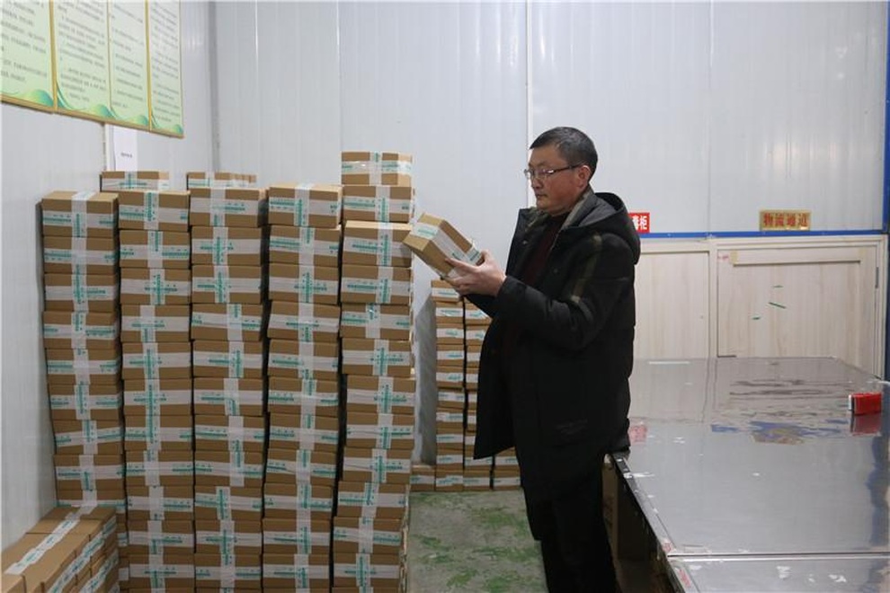 Bỏ phố về quê làm nghề trồng hoa loa kèn, doanh thu chục tỷ đồng mỗi năm - 4 Bỏ phố về quê làm nghề trồng hoa loa kèn, doanh thu chục tỷ đồng mỗi năm - 4