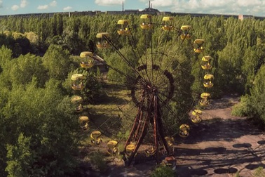 Vì sao thực vật vẫn phát triển tốt ở khu vực thảm hoạ Chernobyl?