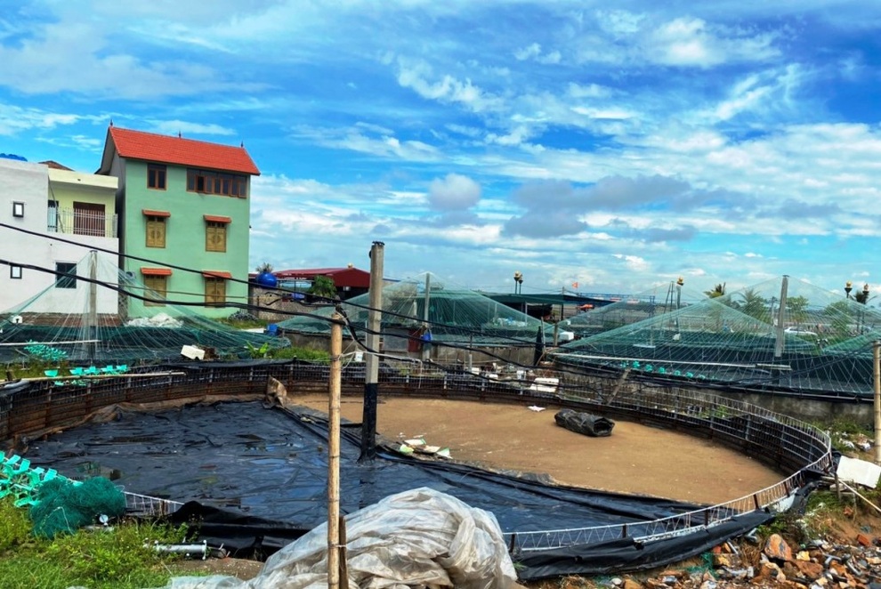 Người nuôi trồng thủy sản gặp khó vì dịch Covid-19 - 7 Người nuôi trồng thủy sản gặp khó vì dịch Covid-19 - 7