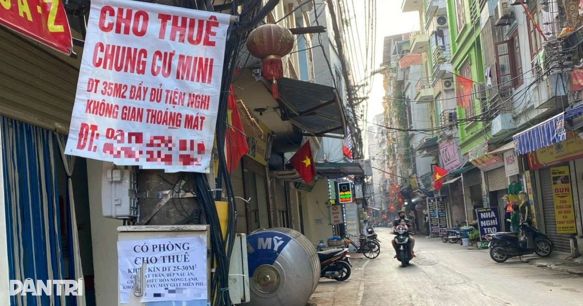 dantri.com.vn