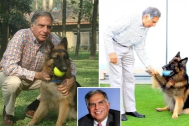 Doanh nhân để lại nhiều tài sản cho cún cưng, quản gia và đầu bếp