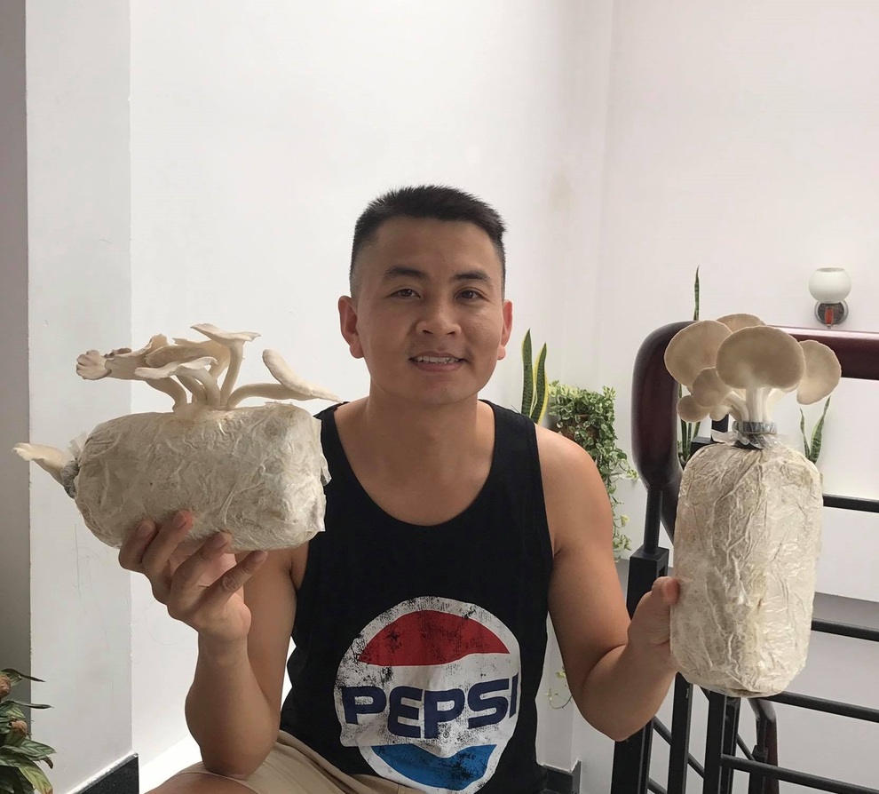 Ở nhà mùa dịch, học ông bố đảm Sài Gòn trồng nấm bào ngư xám năng suất - 2 Ở nhà mùa dịch, học ông bố đảm Sài Gòn trồng nấm bào ngư xám năng suất - 2