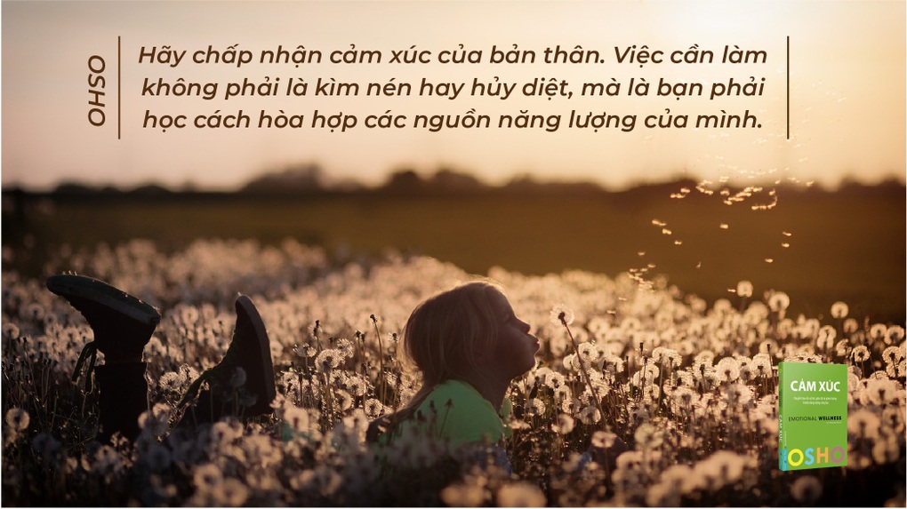 Cảm xúc: Chuyển hóa nỗi sợ hãi, giận dữ thành năng lượng sáng tạo - 2 Cảm xúc: Chuyển hóa nỗi sợ hãi, giận dữ thành năng lượng sáng tạo - 2