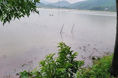 Bé trai 1 tuổi tử vong vì rơi xuống chỗ ngập nước do mưa lũ