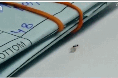 Kinh ngạc kiến trộm kim cương từ cửa hàng trang sức