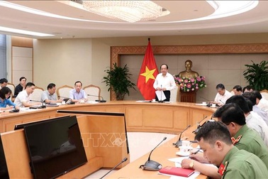 Vì sao tỷ lệ cấp, đổi bằng lái xe tăng cao khi có Nghị định 100?